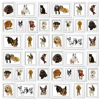 Pet Portrait by Peter Morrissey
